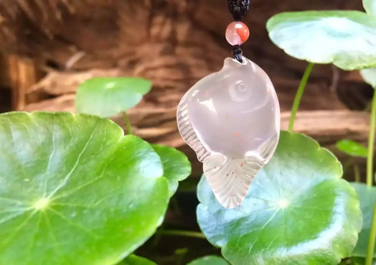 鱼的感悟，鱼与爱情是“鲭”，鱼与思念是“鲶”，鱼与自由是“鮋