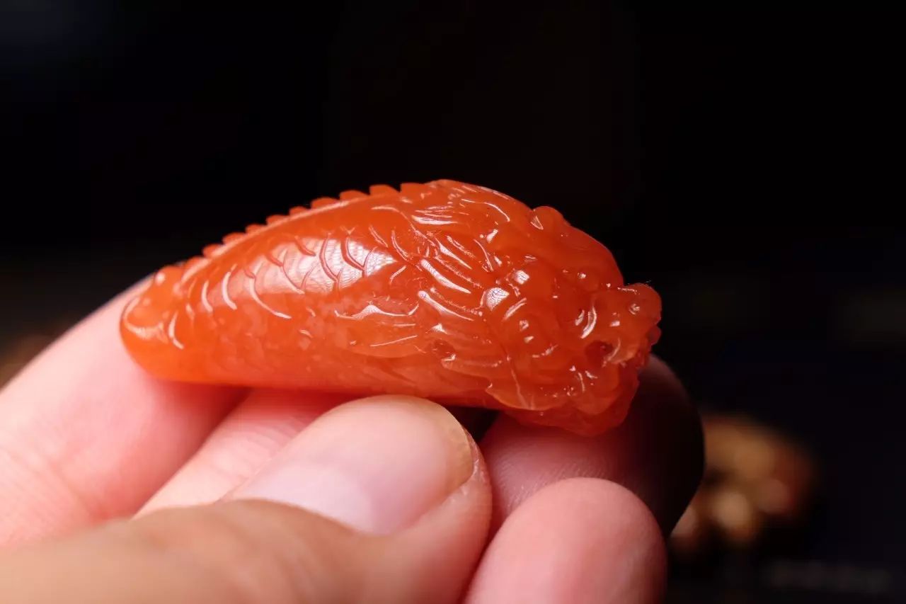 鱼的感悟，鱼与爱情是“鲭”，鱼与思念是“鲶”，鱼与自由是“鮋