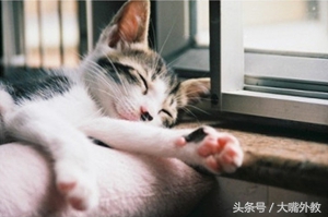 快要放假了，“放假”的英语你会说吗？