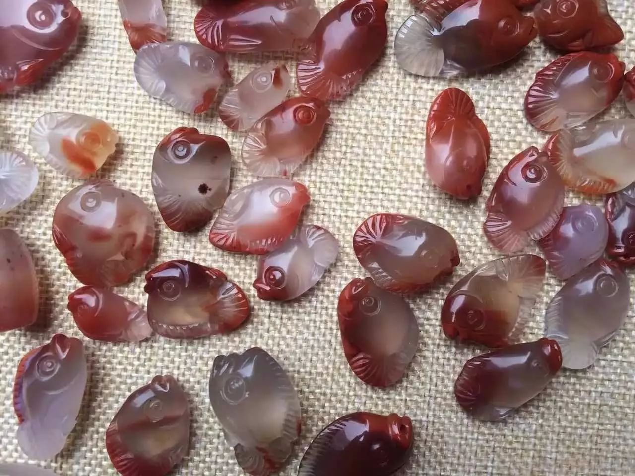 鱼的感悟，鱼与爱情是“鲭”，鱼与思念是“鲶”，鱼与自由是“鮋