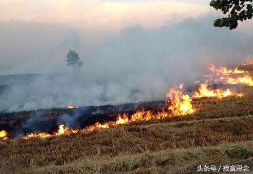 梦到老家村外的祖坟上着火了，很大的火，不知道是吉是凶