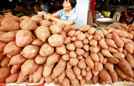 玉米和红薯是什么时候传入中国的？让人口迅速过亿此人功不可没！
