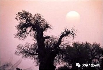唐锦禄（原创）在水一方：踏遍神州赏月景