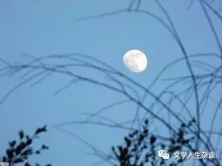 唐锦禄(原创)在水一方:踏遍神州赏月景