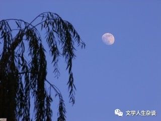 唐锦禄（原创）在水一方：踏遍神州赏月景