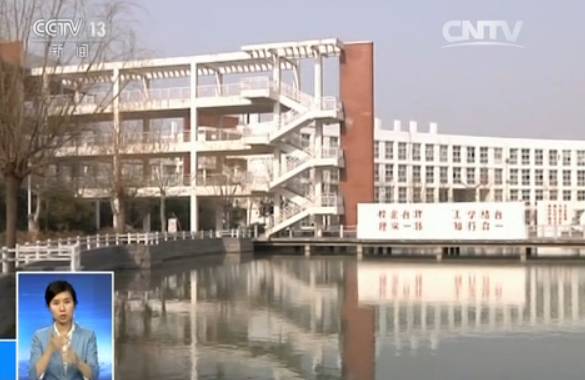 王娜娜事件,王娜娜事件主要内容