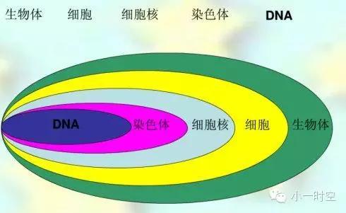 今天 国际医生节，又想起特鲁多医生墓志铭上的那句话...