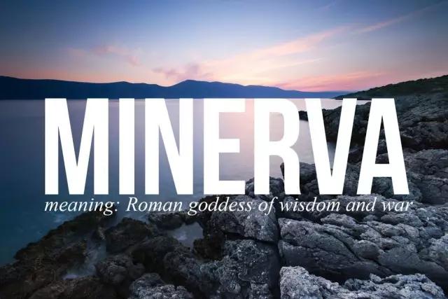 ▼lavender含义:薰衣草角色来源:lavender brown 拉文德·布朗▼