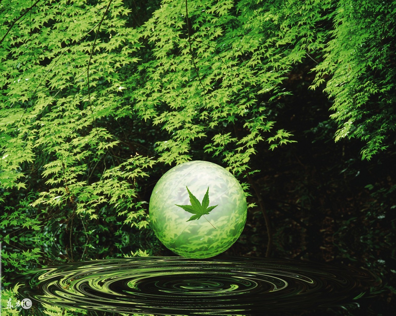 所谓相生,是指:金生水,水生木,木生火,火生土,土生金.这五种年命