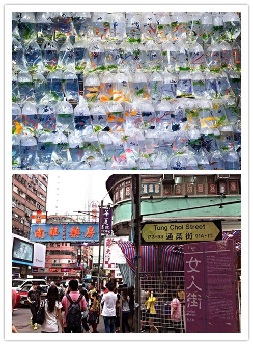 香港购物全攻略——去哪儿买买买？