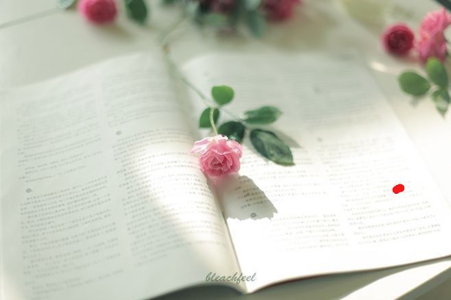 一路向暖，感恩遇见，在那些有你陪伴的日子里