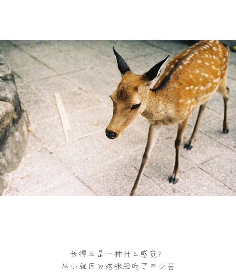 qq空间个性心情签名语录——做一个风平浪静的人，把波澜装进心里
