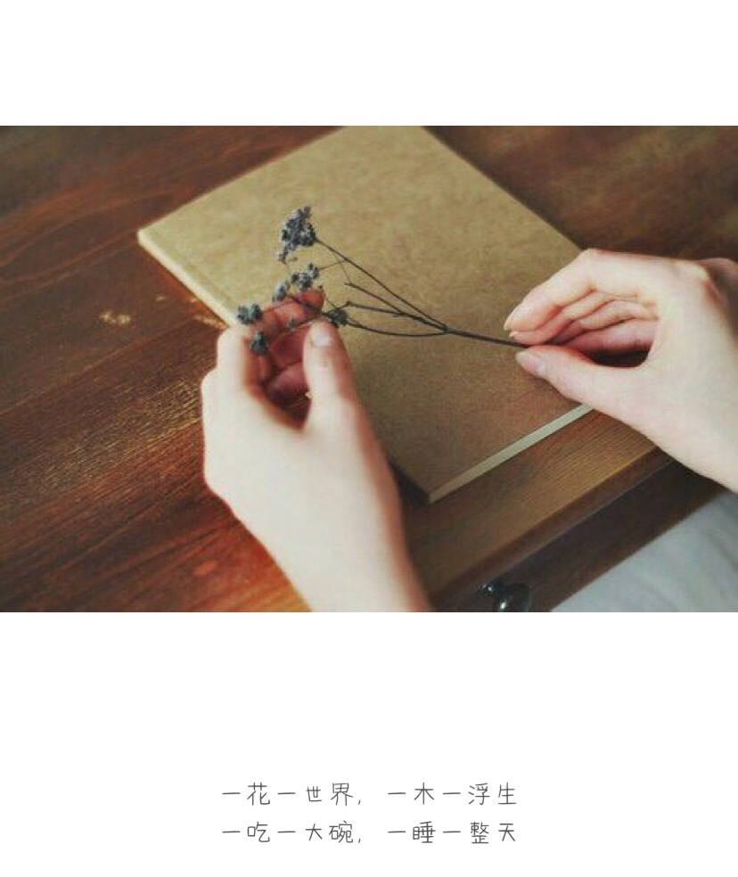 qq空间个性心情签名语录——做一个风平浪静的人，把波澜装进心里