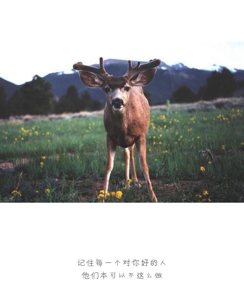 qq空间个性心情签名语录——做一个风平浪静的人，把波澜装进心里