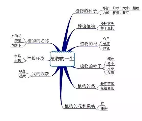 好课｜科学作文：植物的一生