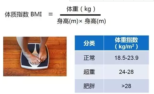 不知道怎麼減肥？給你一份科學的飲食、訓練計劃指南！