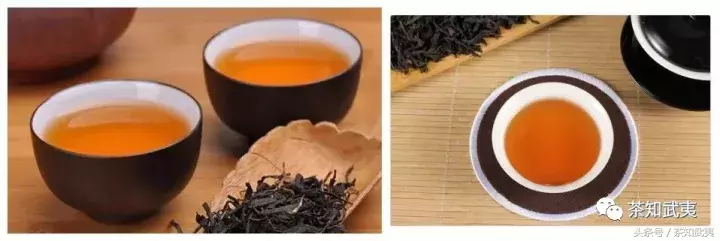 乌龙茶是红茶吗（红茶和乌龙茶的区别介绍）