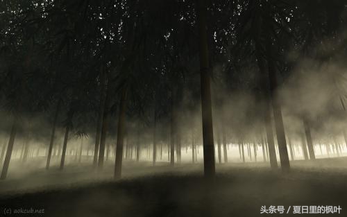 细思极恐的小故事系列十六，今夜无眠