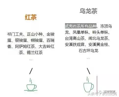 乌龙茶是红茶吗（红茶和乌龙茶的区别介绍）