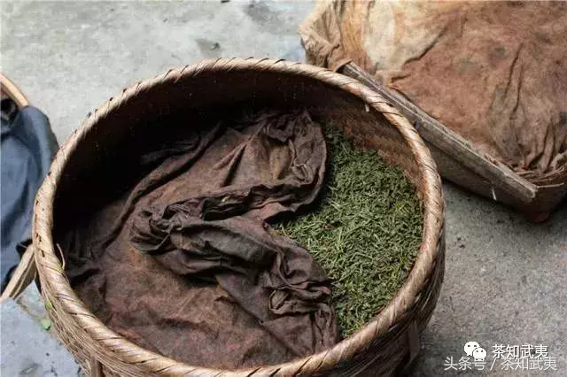 乌龙茶是红茶吗（红茶和乌龙茶的区别介绍）