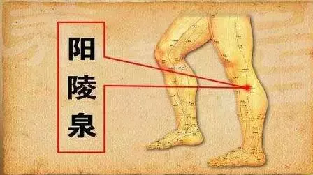 立冬养的好,来年生病少!医院各科医生的立冬养生方,赶紧收好!