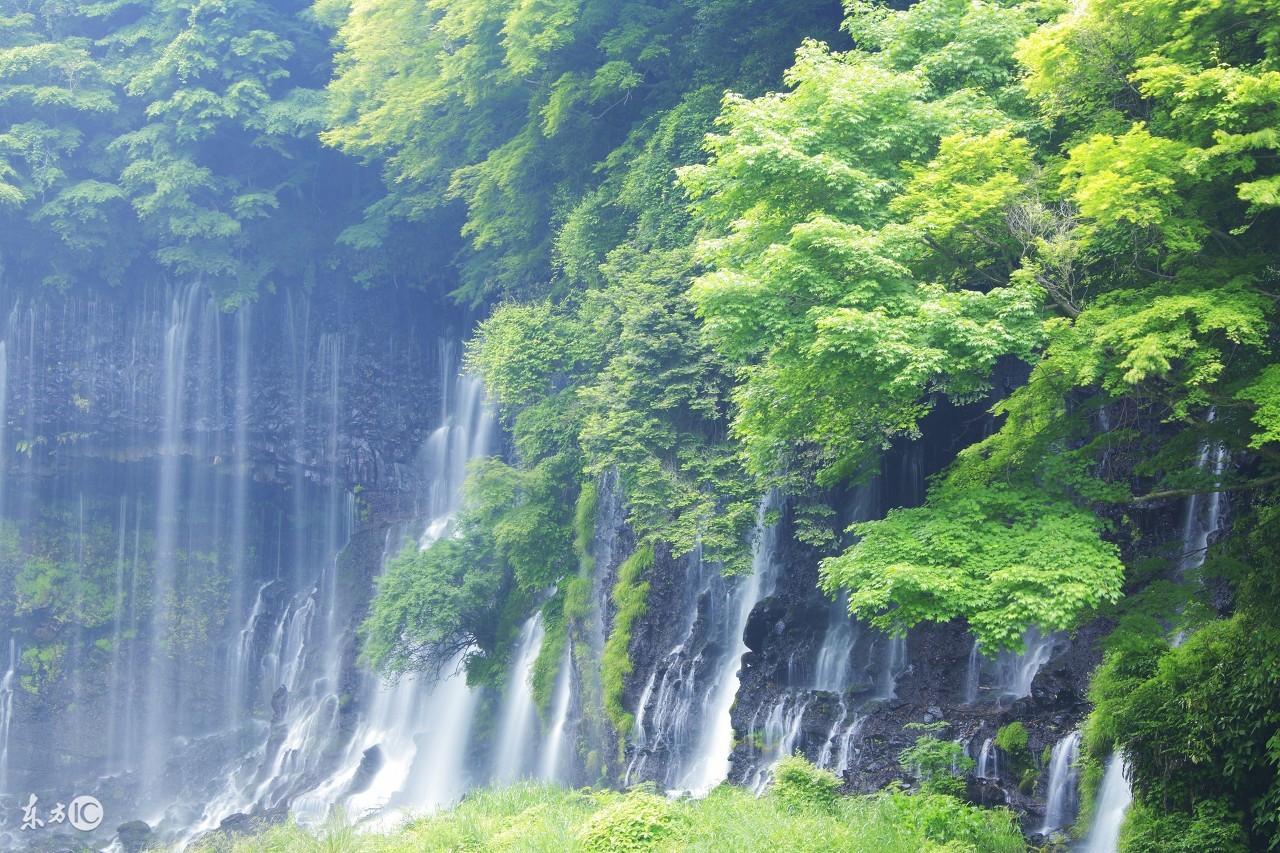 阴宅风水出现这几种情况，后代子孙富贵显达