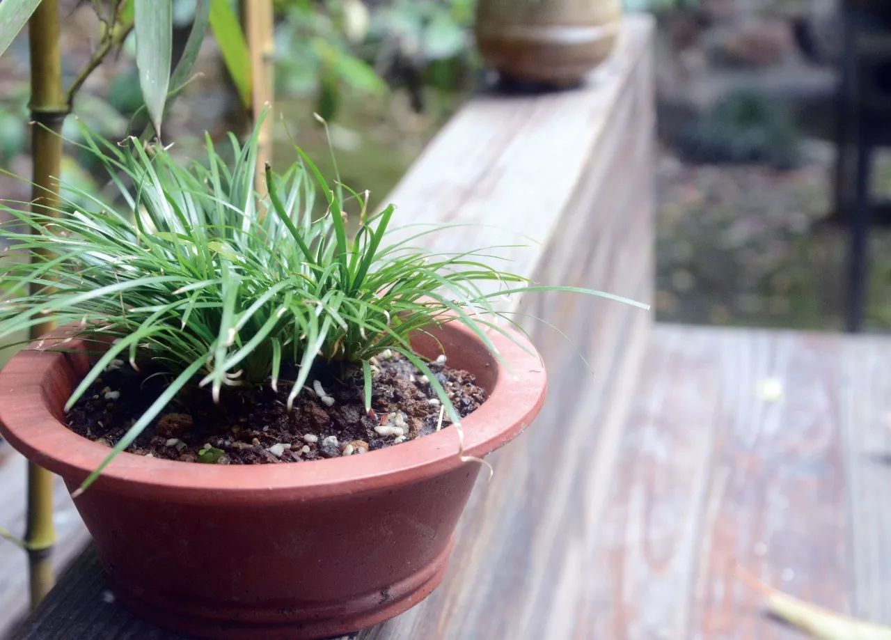 青山隐隐水迢迢，秋尽江南草未凋