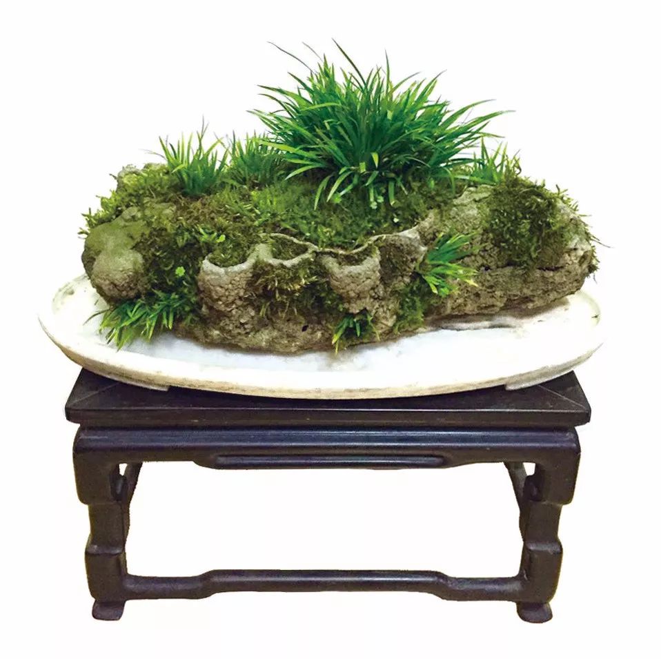 青山隐隐水迢迢，秋尽江南草未凋