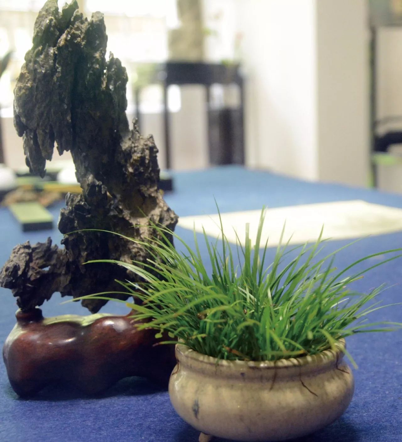 青山隐隐水迢迢，秋尽江南草未凋