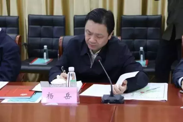 省市领导调研八卦洲规划和现代农业发展
