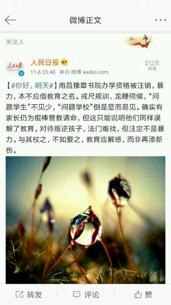 暴走停更，全网视频下架