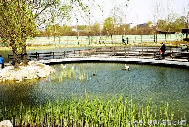 最新！2017太原公交线路大全！快收藏，超级实用