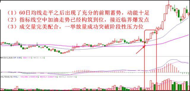 短线奇女手把手教你最强炒股技巧 看懂轻松高抛低吸