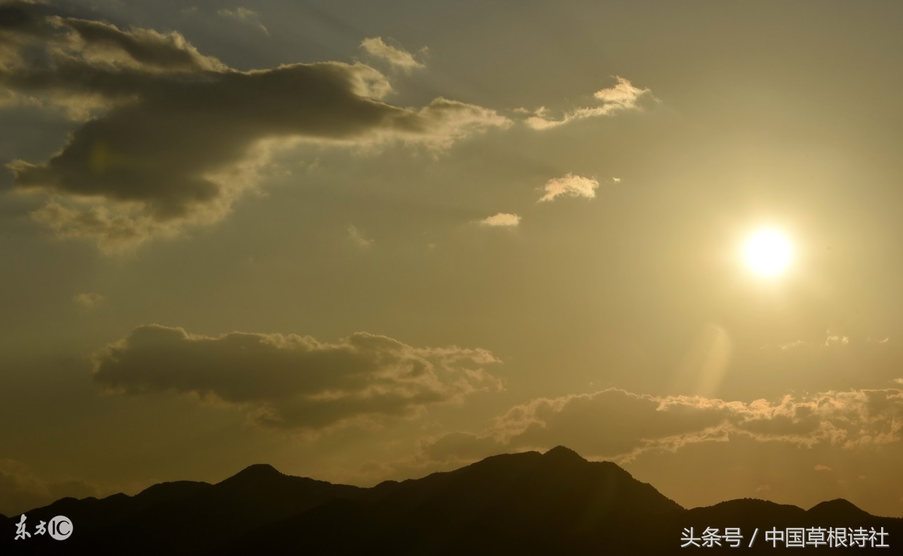 兰花吾最爱，相伴数年长
