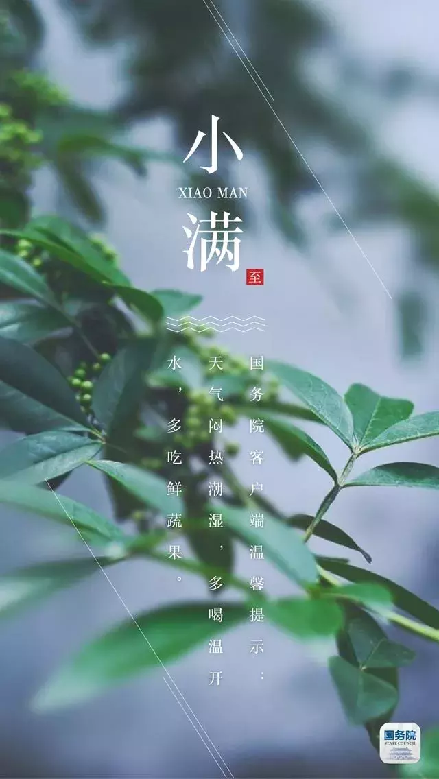 张张都是壁纸级！“入遗”一周年，一起走进中国最美“二十四节气”