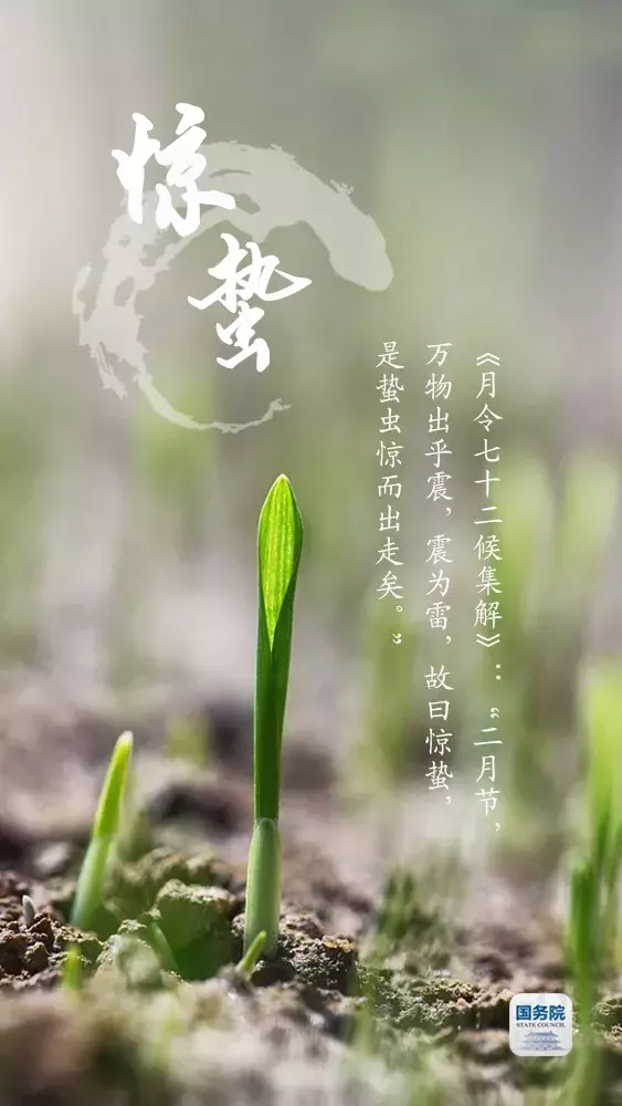 张张都是壁纸级！“入遗”一周年，一起走进中国最美“二十四节气”