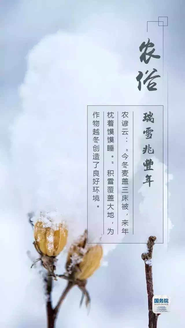 张张都是壁纸级！“入遗”一周年，一起走进中国最美“二十四节气”