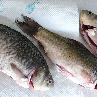 鯽魚(yú)湯的做法,鯽魚(yú)湯的做法又白又濃