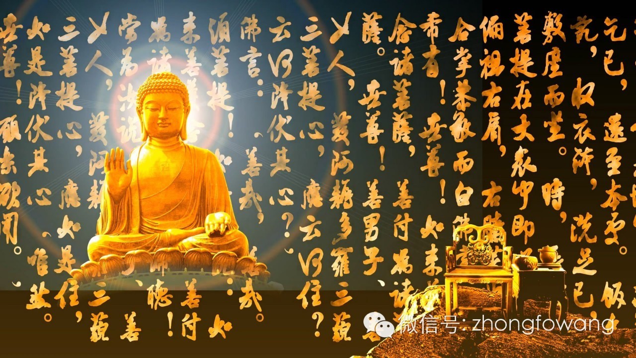 金刚经白话文解释_金刚经原文白话文全译
