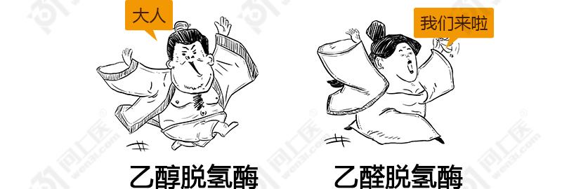 喝酒易上脸的人是酒量大、能喝的吗？脸红究竟是怎么回事？