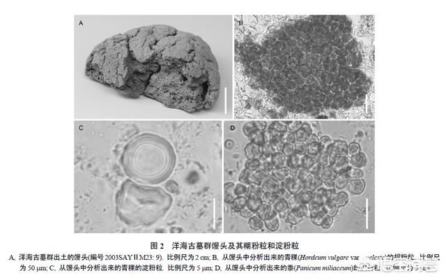 趣味考据：「饺子」起源演变考—从吐鲁番唐墓出土的「饺子」说起