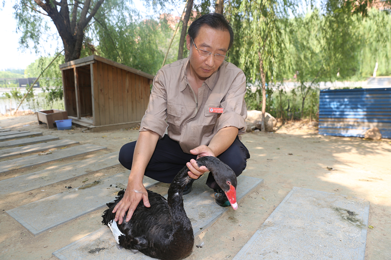 他们凭啥被称为郑大“最美后勤人”？来看看他们的故事！