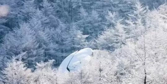 『诗词赏析』：山窗寒夜时，听雪洒竹林《名山胜景美雪图请珍藏》