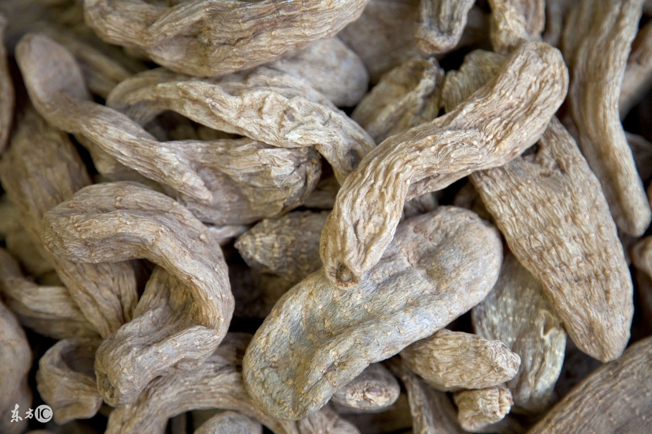 天麻的药用价值和食用营养价值