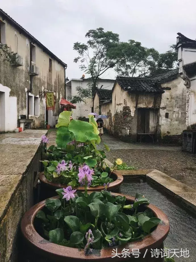 送给十二星座的古风句子，真的美腻！