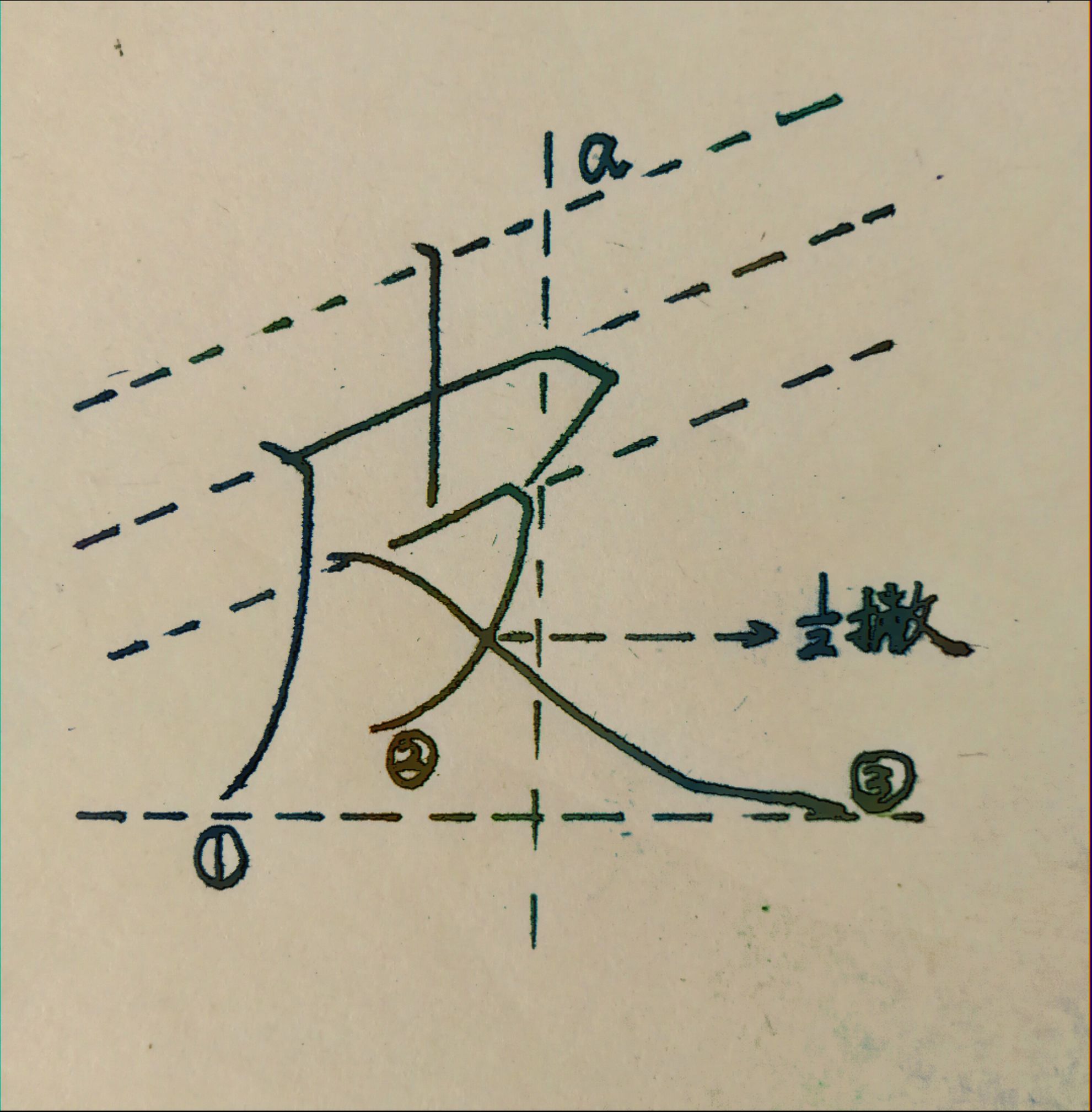皮怎么写(教大家写个"皮"字,一看就会的硬笔书法!