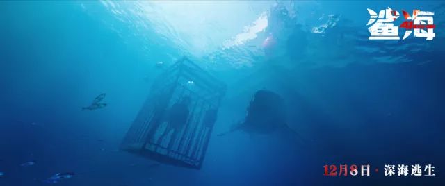 深海逃生电影《鲨海》：尊重内心的恐惧，你才能成长为有力量的人