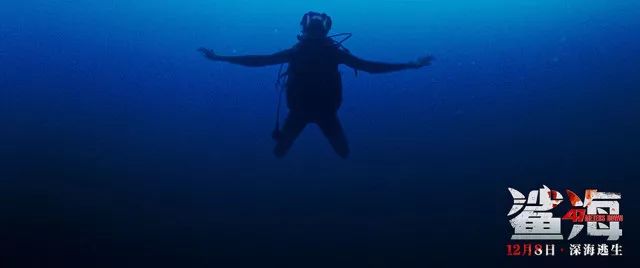 深海逃生电影《鲨海》：尊重内心的恐惧，你才能成长为有力量的人