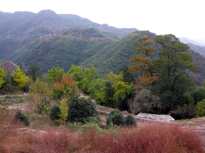 探访茅镬古村 四明山游