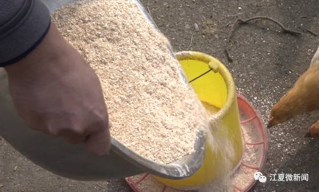 新闻｜阅读两分钟 知晓江夏事「2017年12月13日」